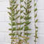 120cm Faux Plant