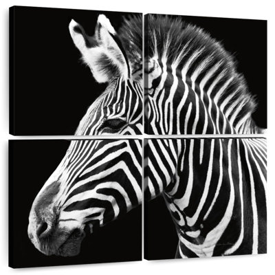Brampt Zebra Stripes Pattern III