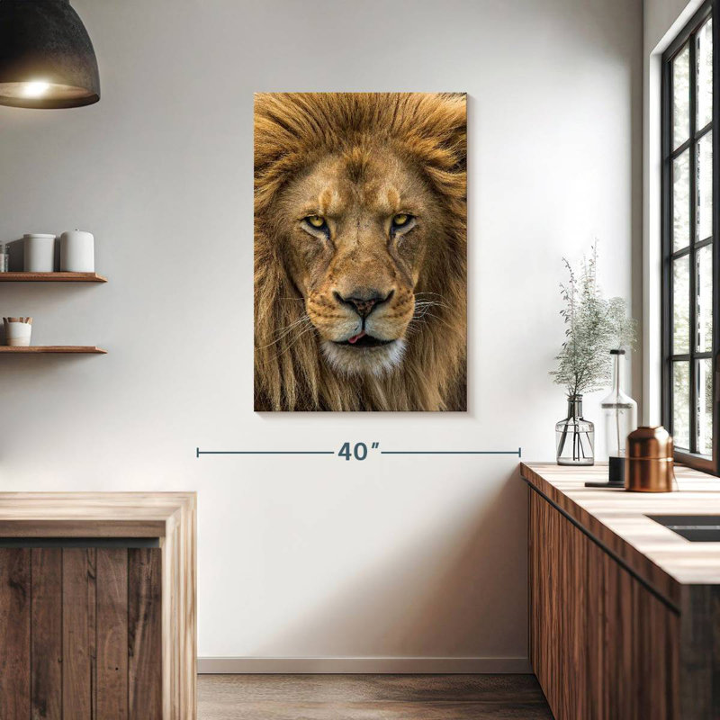 Brampt Handsome Lion Head, 39" H x 26" W