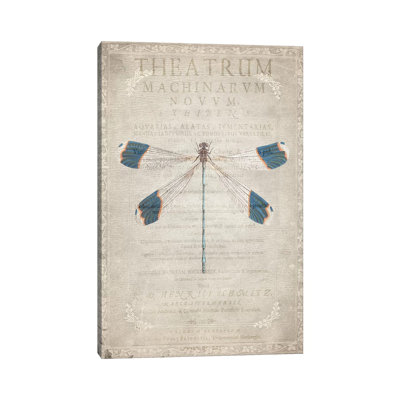 Dragonfly Book I by Kimberly Allen - Print on Canvas