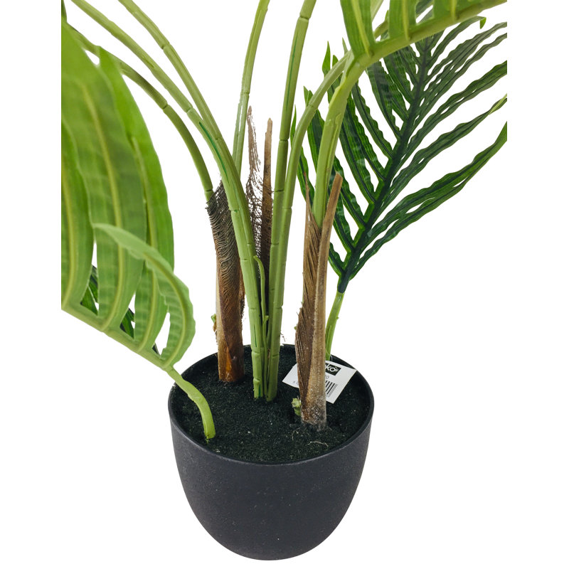 68cm Palm Tree in Pot
