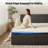 Holubice 16.74'' Medium Mattress-72163687
