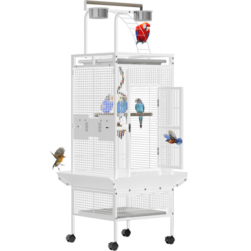 Bird Cage, White