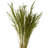 36" Congo Grass, 8 oz Bundle, Dried-696672394