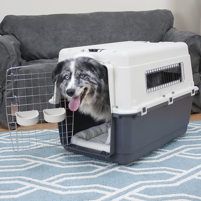 Cage pour animal Humphrey Premium, Grande (H 25,25 po x l 22 po x P 31,5 po)