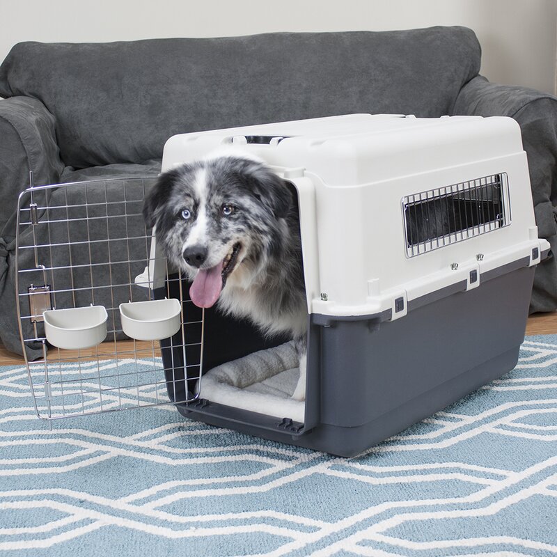 Tucker Murphy Pet™ Humphrey Premium Pet Crate & Reviews | Wayfair