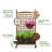 Amandari Wood Planter Box with Trellis-340511486