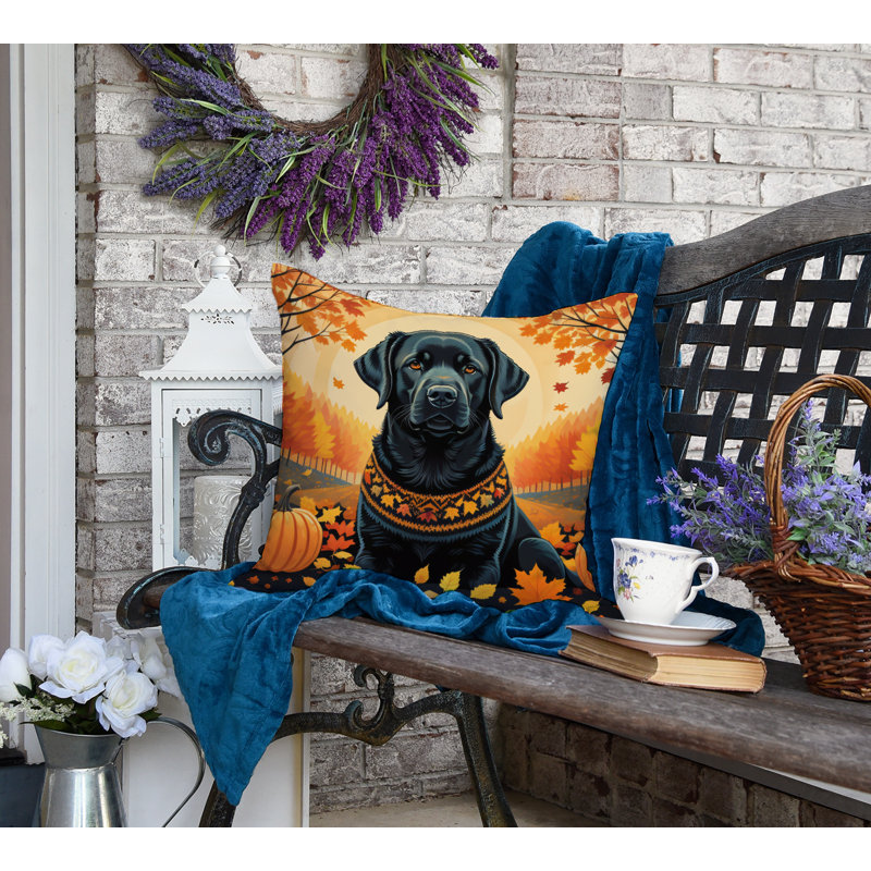 Other/No Pattern Outdoor Throw Pillow, 18" x 18"