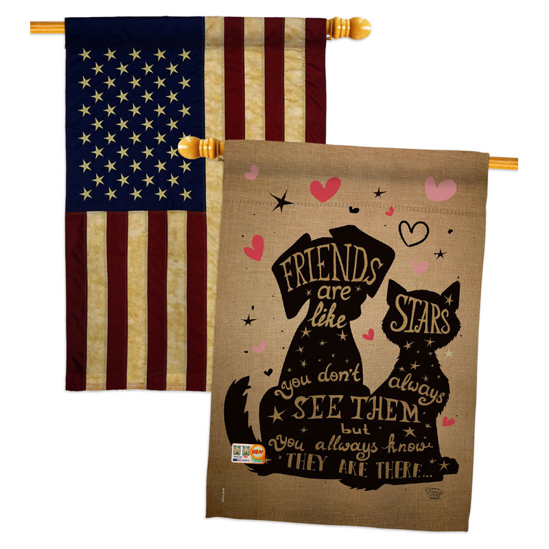 Drapeau de jardin en polyester à 2 côtés Friends is Like Stars 18,5 x 13 po