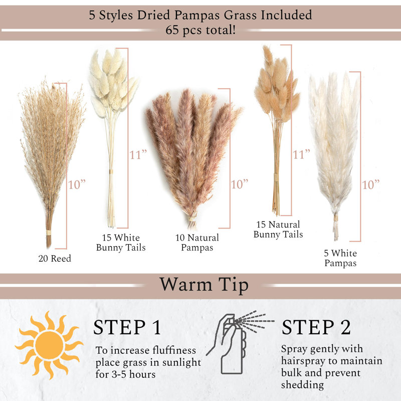 Set of 3 White Ceramic Vases with Dried Pampas Grass