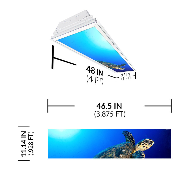 Ocean Rectangle Fixture Component Ceiling Light