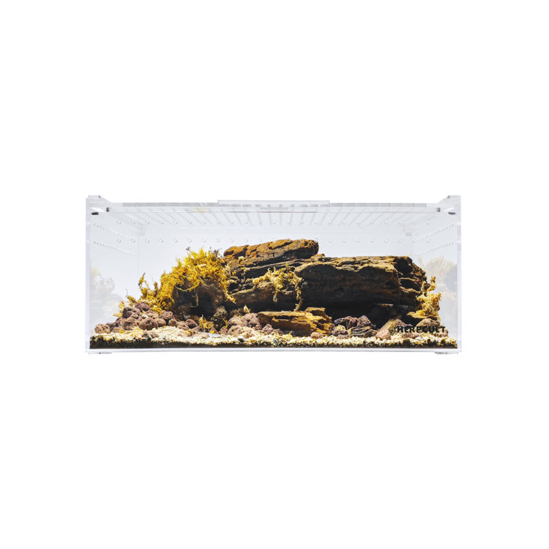 Acrylic Reptile Terrarium, 5 Gallon - 6"H x 16"W x 12"D