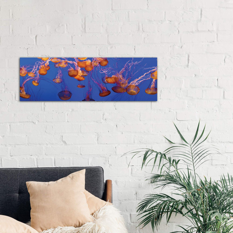 A Bloom Of Jellyfish by Panoramic Images - Wrapped Canvas Panoramic Print, 30.48 cm H x 91.44 cm W x 1.91 cm D