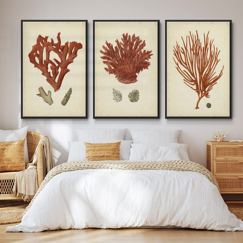 " Shell Collection IV " 3 - Pieces, Black, 36" H x 72" W