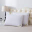 Coussin Montleban