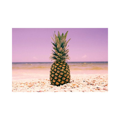 South Florida Pineapple I by Adam Mead - Wrapped Canvas Print