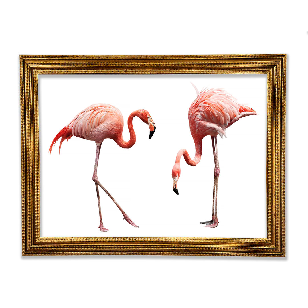 Rosa Flamingo Duo - Einzelne Bilderrahmen Kunstdrucke