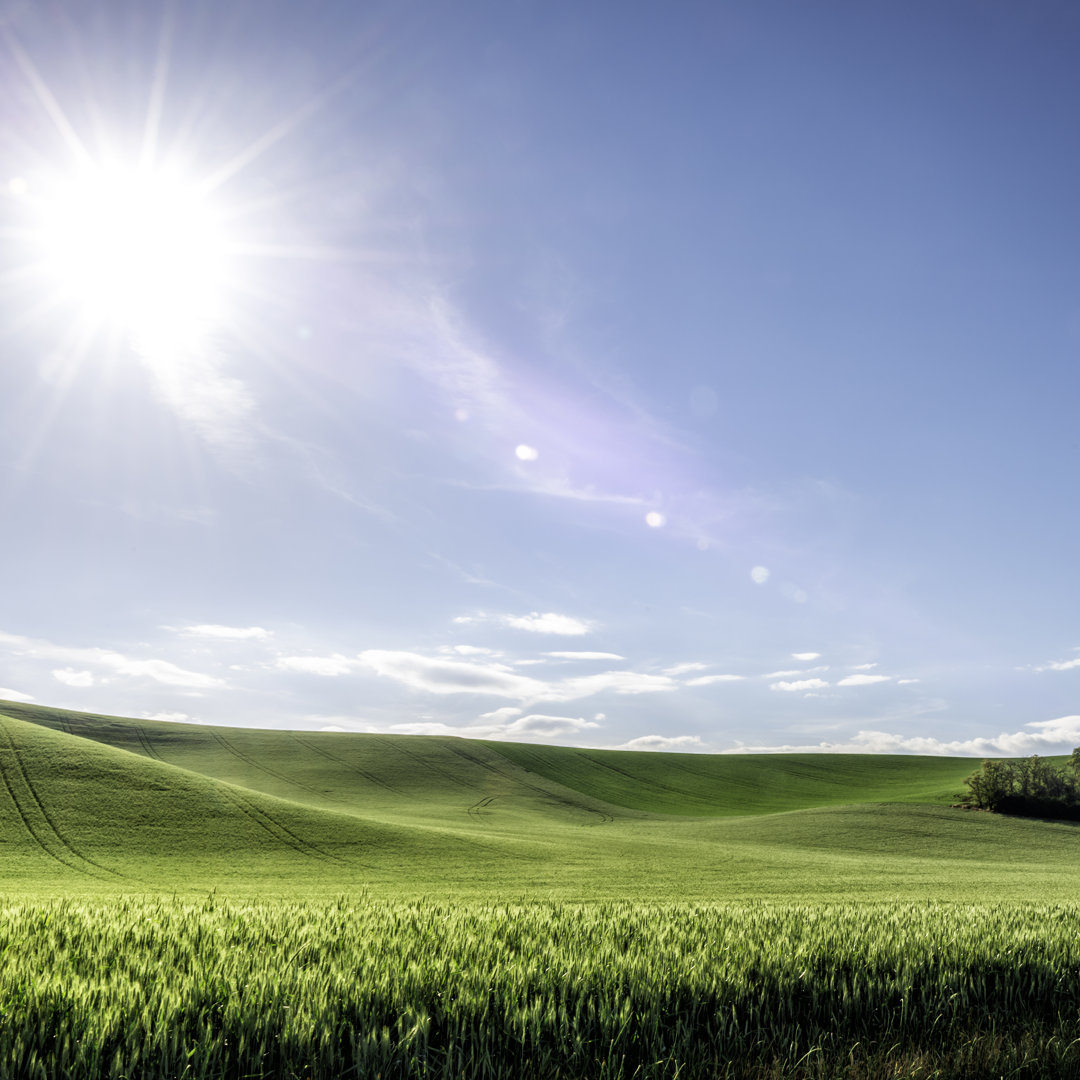 The Palouse Rolling Hills (sun & Wheat) von AlpamayoPhoto - Kunstdrucke auf Leinwand ohne Rahmen