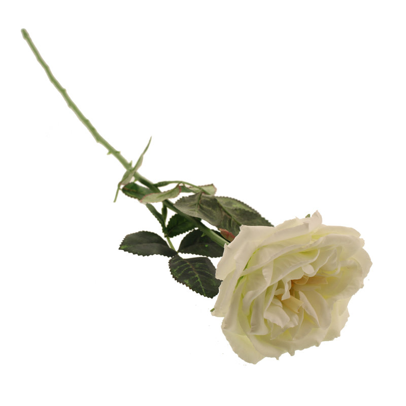 Artificial Rose, Cream