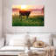 Alvord Cow Sunrise-107687665