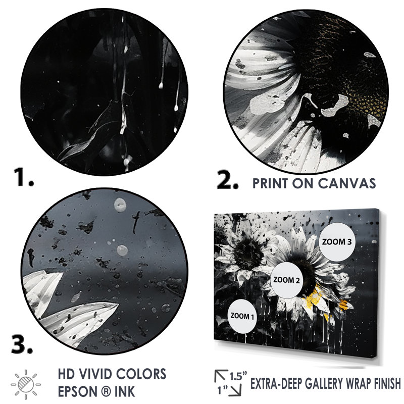 Monochrome Sunflower Bloom Black and White Canvas Art