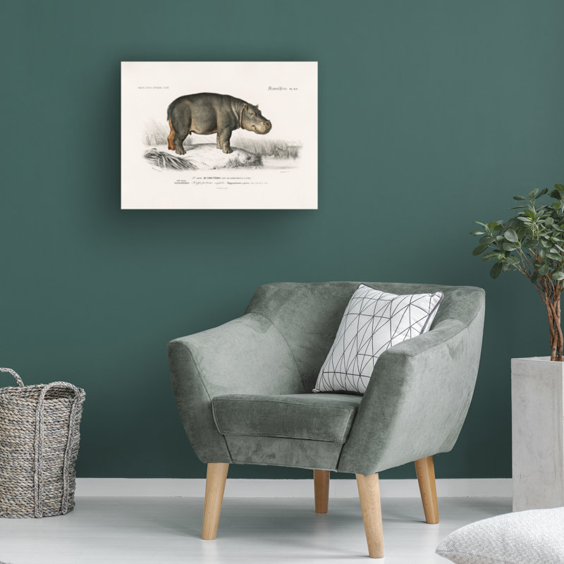 Art sur toile, Charles Dessalines D Hippopotamus, H 14 po x l 19 po