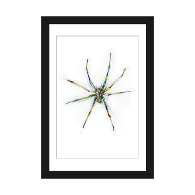 « spider », impression sur toile tendue