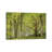Beautiful Forest by Adam Burton - Wrapped Canvas Gallery-Wrapped Canvas Giclée-1001021176
