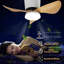 Ceiling Fan with LED Lights-799474059-799474056