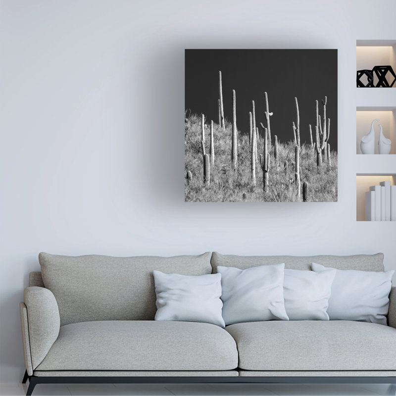 Art mural sur toile tendue - «Saguaro Hill» de Mitch Catanzaro pour décoration de salon, de chambre à coucher ou de bureau - 24 x 24