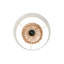 Lampe de table brune 18 po Axyl