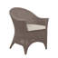 Cape Cod Patio Dining Chair with Cushion (Set of 2)-50124726-50124771