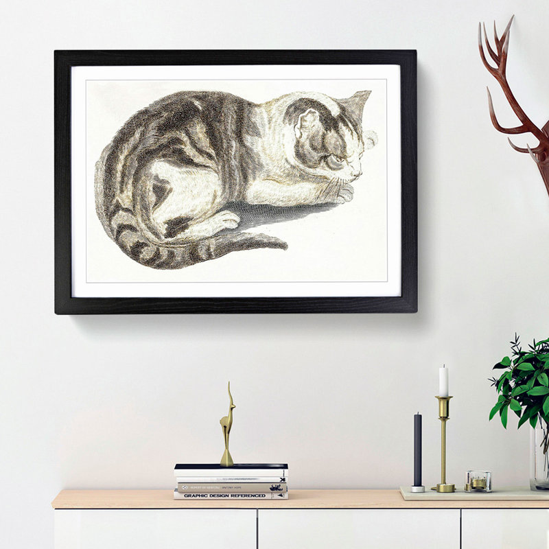Cat by Johan Teyler - Framed Print, 36cm H x 48cm W x 2cm D, Black Framed
