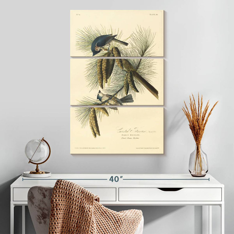Brampt Crested Titmouse, 32" H x 20" W