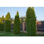 Bushton Lamp Post (complete)