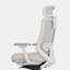 Ergonomic Chair Pro-1299345840-1299345842