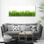 Grass - Wrapped Canvas Print