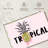 Yarlin Pineapple Typography-108731591