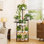 Support à plantes à 6 niveaux pour plantes d'intérieur, grande tablette d'angle pour pots multiples, support à fleurs moderne pour salon, chambre à coucher, balcon ou bureau