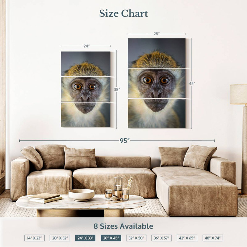 Brampt Vervet Monkey, 38" H x 24" W