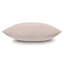 Xander 100% Cotton Sham-61070970
