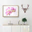 Pink Orchid Flower - Single Picture Frame Print on MDF-56704906-56704907