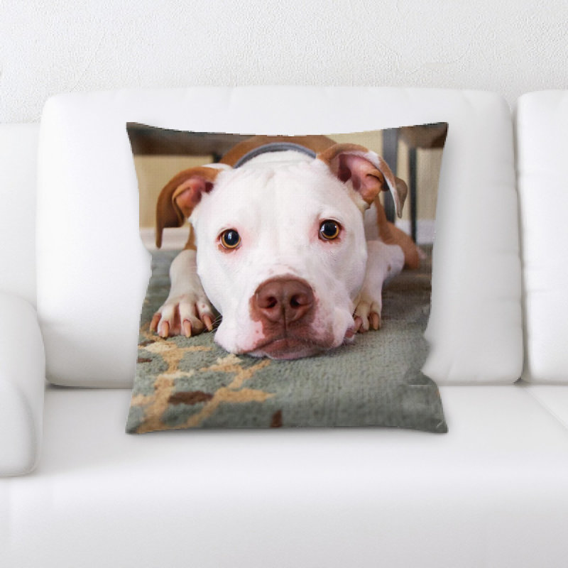 Coussin pour chien