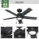 44" Erling 5 - Blade Ceiling Fan with LED Light Kit and Pull Chain