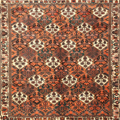 Southwestern Indoor Rug