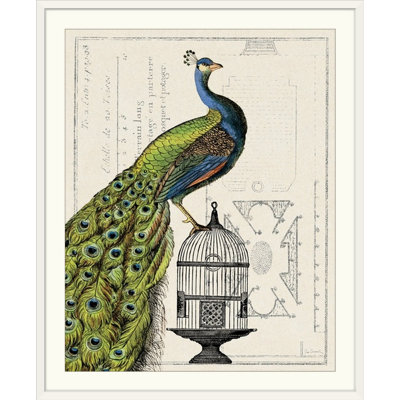 « i » par sue schlabach, impression Peacock Birdcage