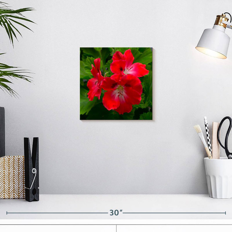 Fleurs d'hibiscus rouges Harnek, H 10 po x l 10 po