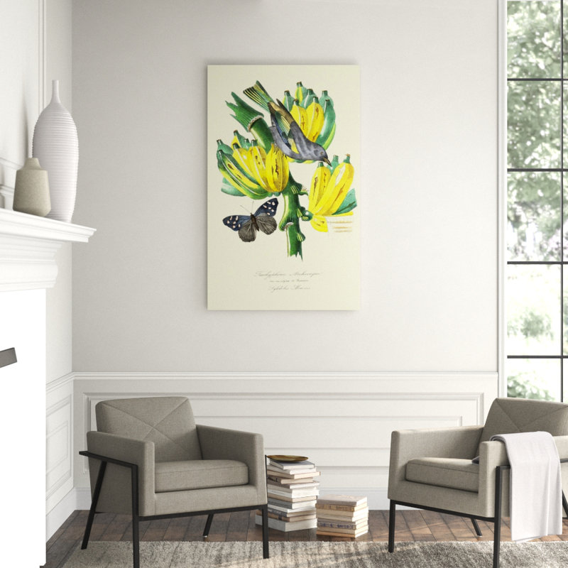 Finch On Bunch Of Bananas Print by Porter Design, Glass Coat, 29" H x 18" W
