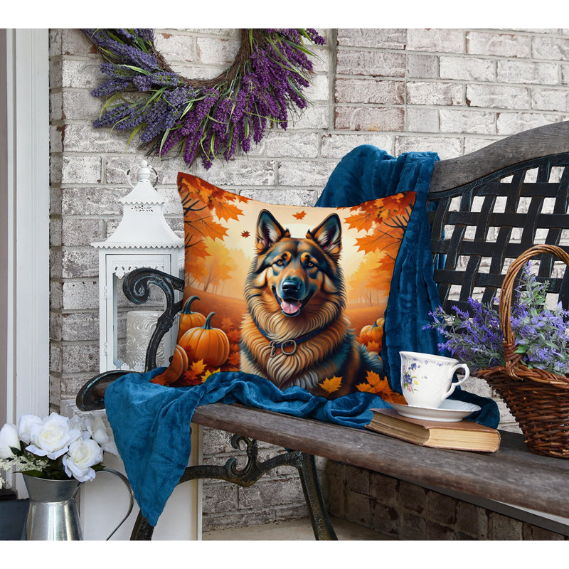 Other/No Pattern Outdoor Throw Pillow, 18" x 18"