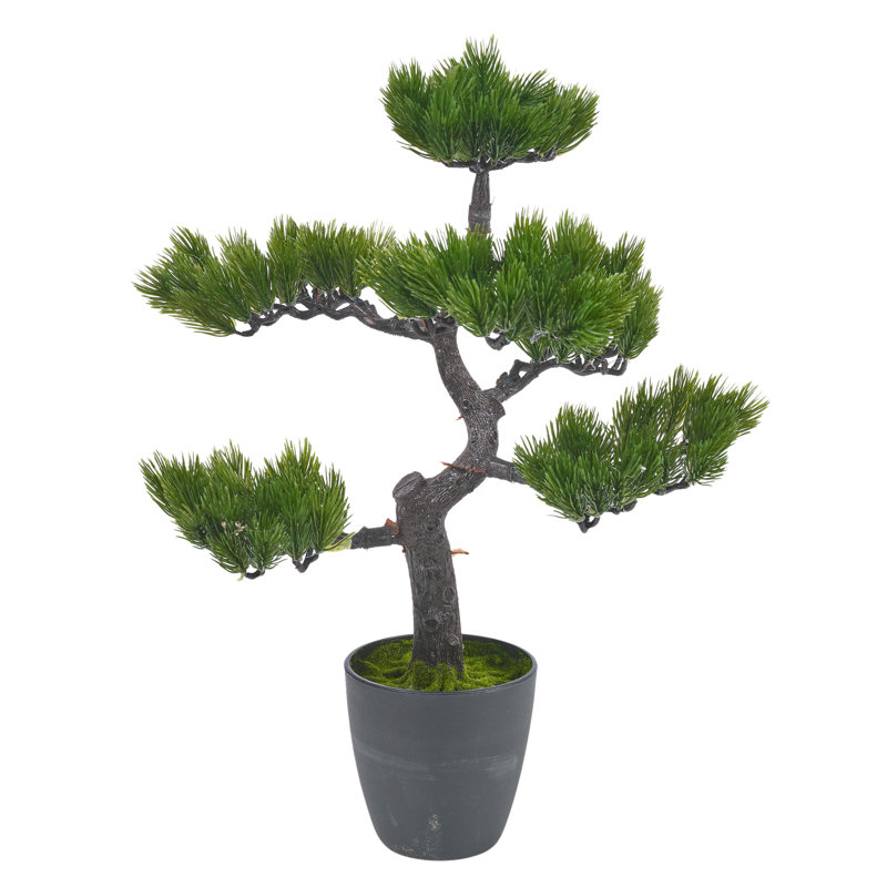 49cm Faux Bonsai Plant in Planter